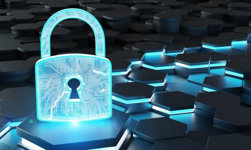 金牛区定制APP开发费用明细曝光